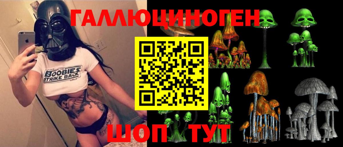 Псилоцибиновые грибы мицелий Мурманск