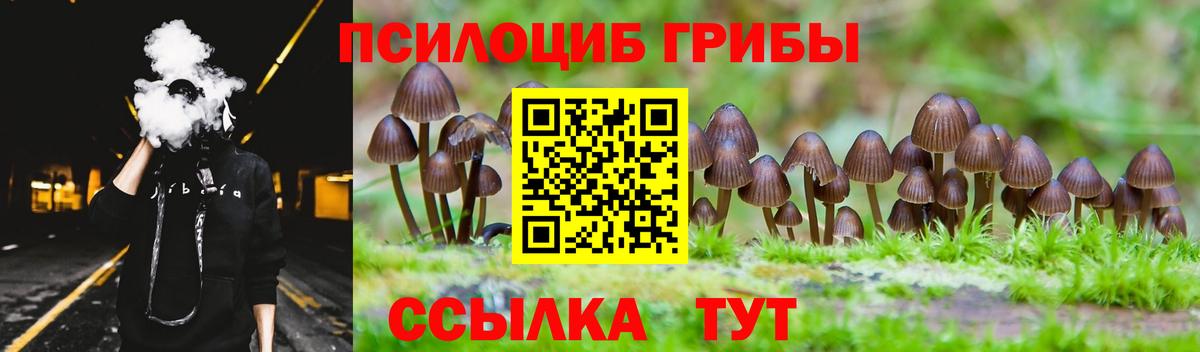 Мурманск  Псилоцибиновые грибы прущие грибы  купить  сайты  Вход с VPN  Галлюциногенные грибы ЛСД 